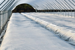 agrofabric-overwintering-winter-blankets